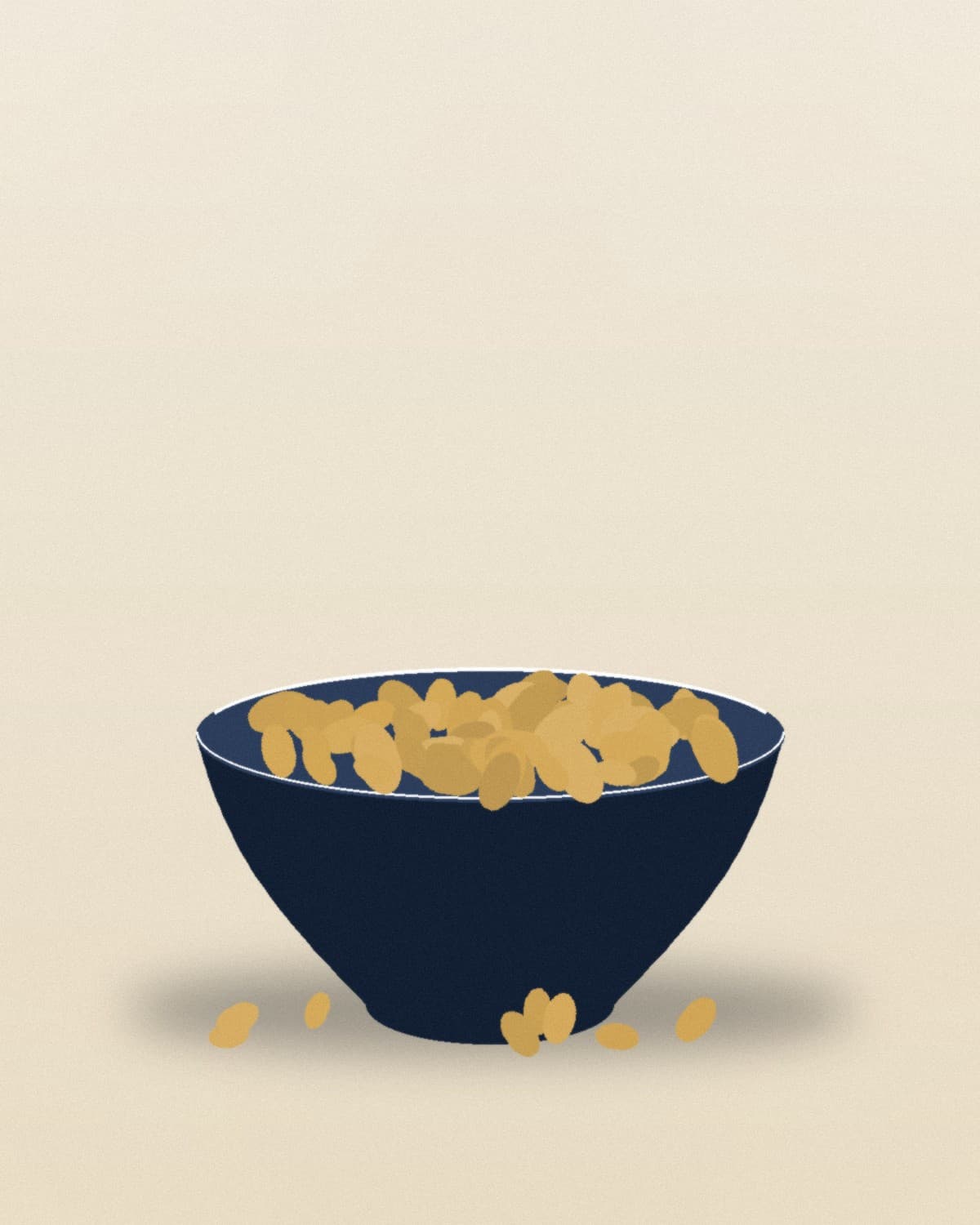 Apricot Kernels (Sweet Halman) — photograph 2