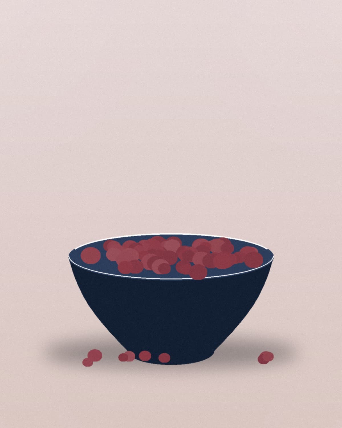Dried Cherries — photograph 2